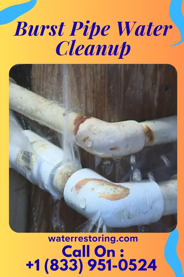 Burst Pipe Water Cleanup in Bemus Point, NY