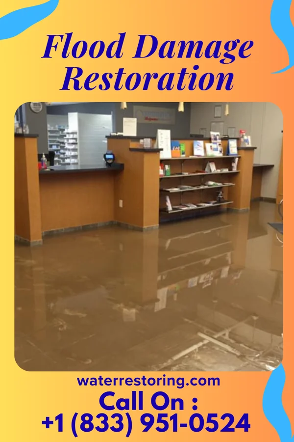 Flood Damage Restoration in Bemus Point, NY