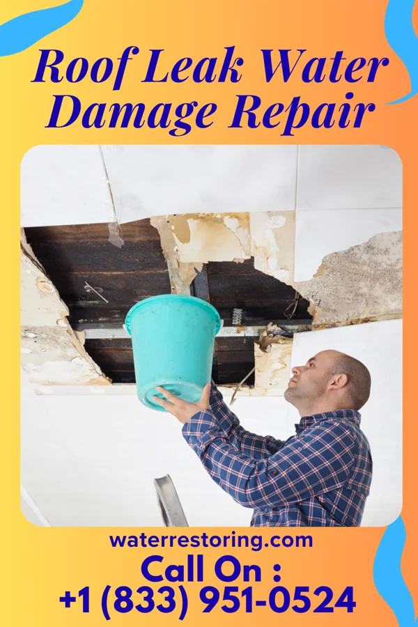 Roof Leak Water Damage Repair in Bemus Point, NY