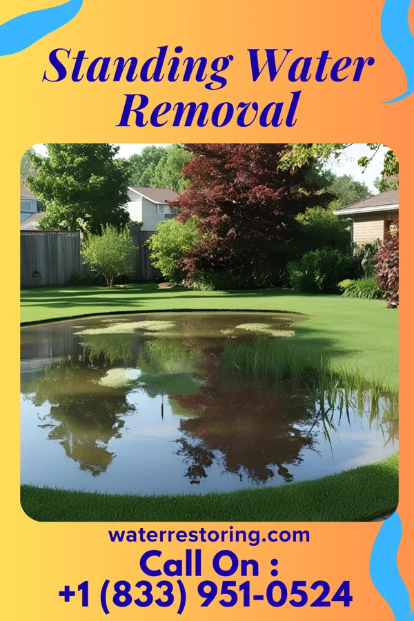 Standing Water Removal in Bemus Point, NY